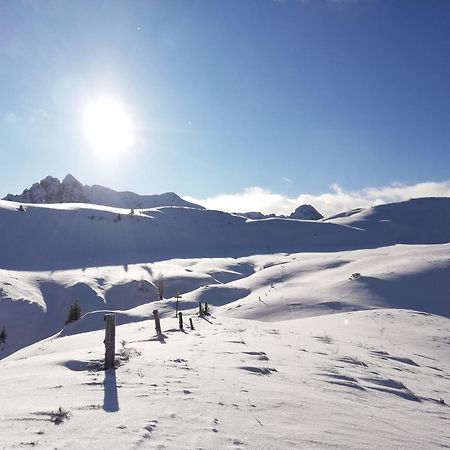 Ferienhaus Sonnberg Hüttau Dış mekan fotoğraf