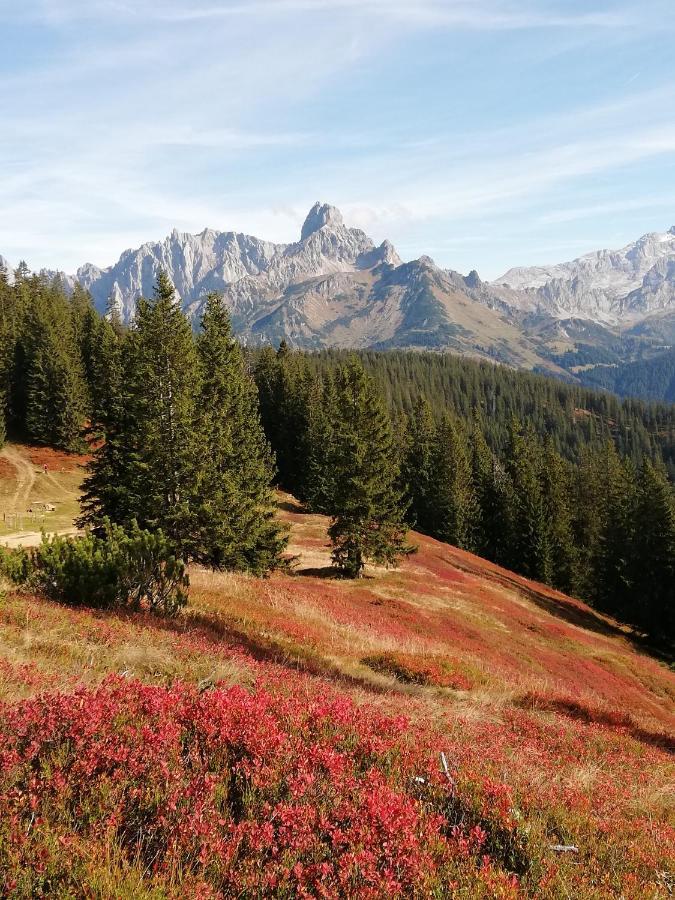 Ferienhaus Sonnberg Hüttau Dış mekan fotoğraf