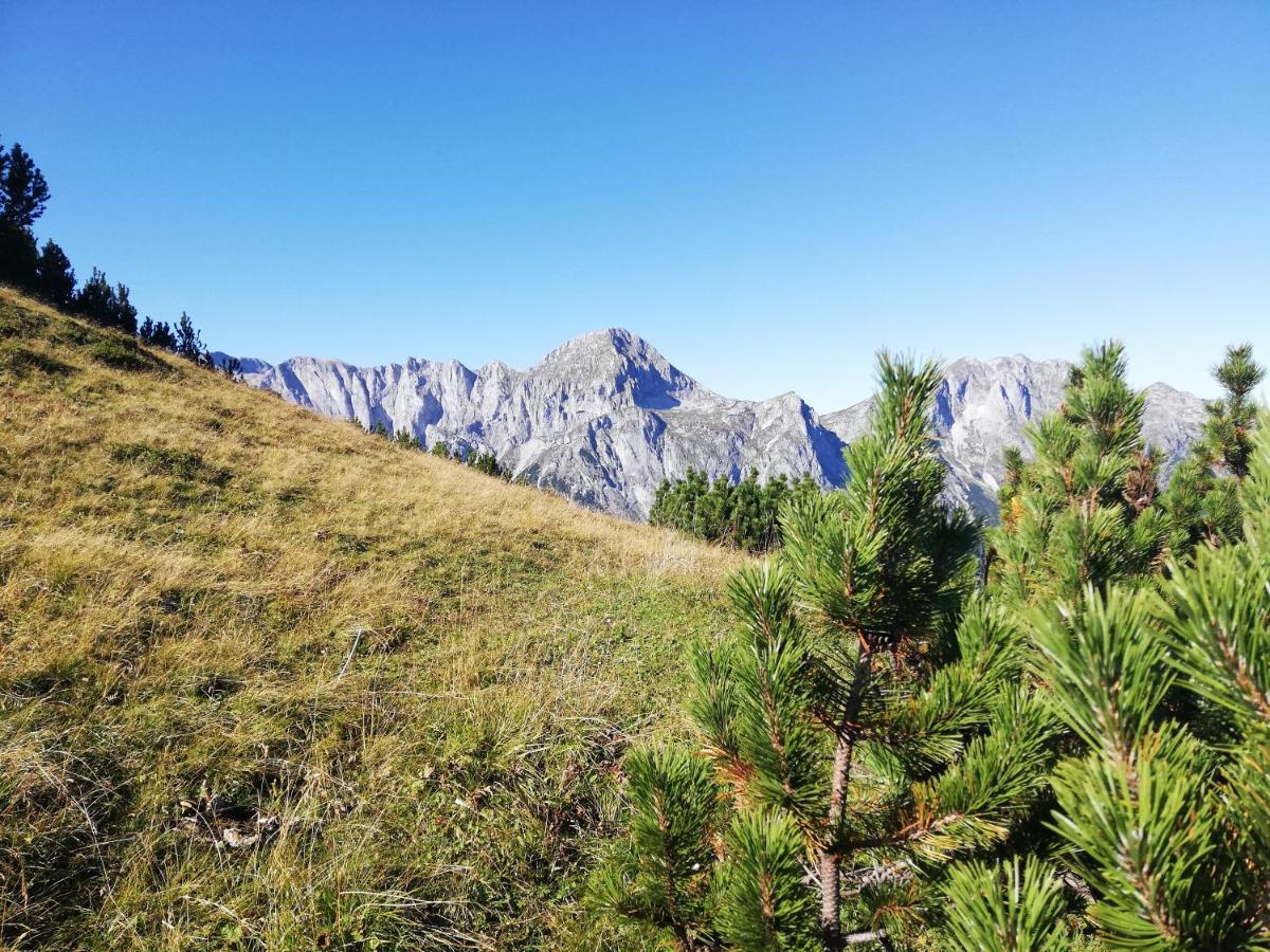 Ferienhaus Sonnberg Hüttau Dış mekan fotoğraf